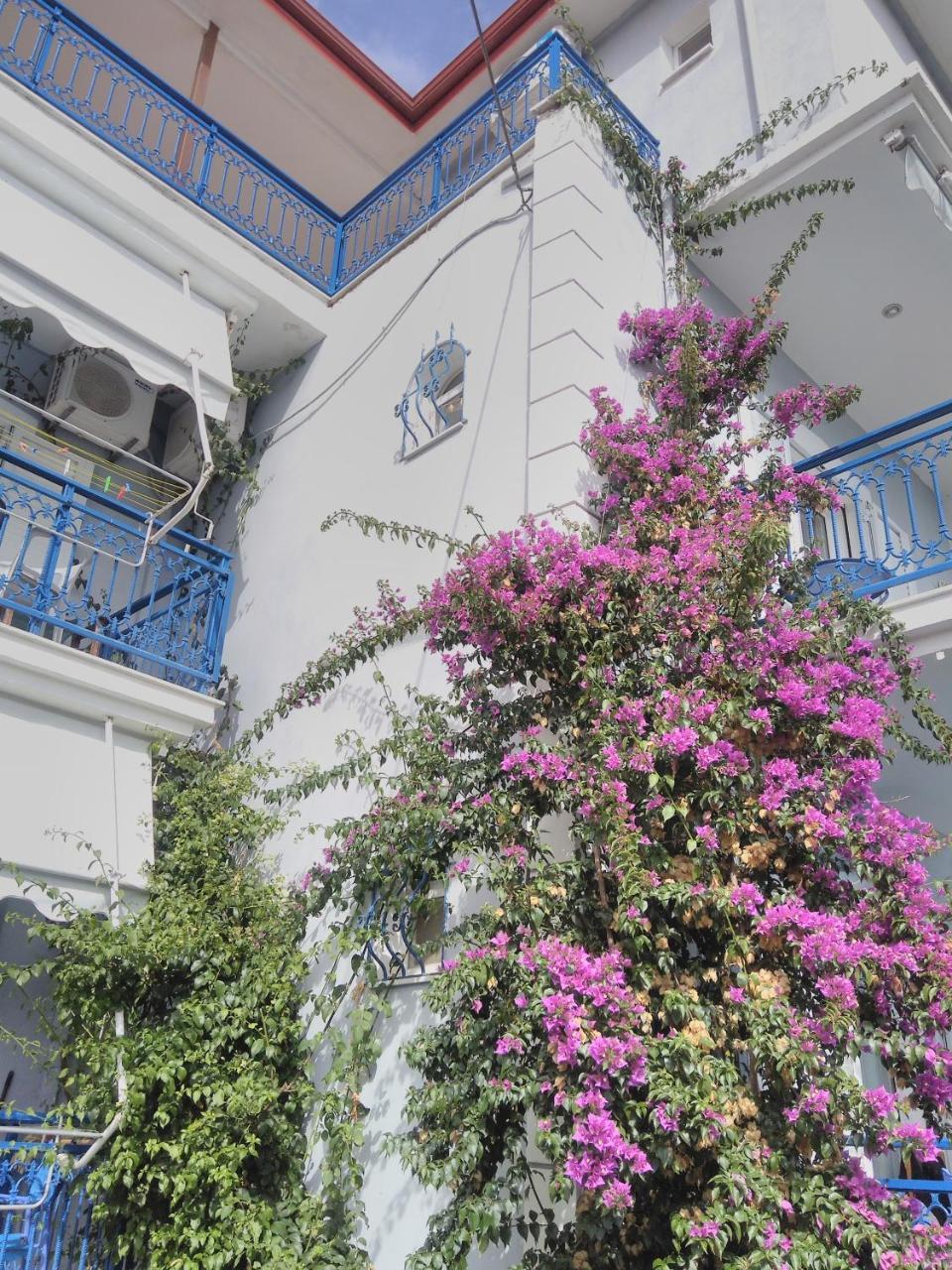 Ionio Gastronomy Suites Amudiá Kültér fotó